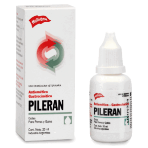 PILERAN